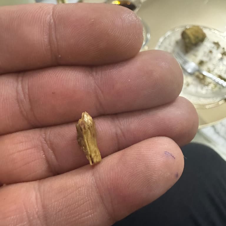 Burak Gross Aldığım Tatlının İçinden Tahta Parçası Çıktı