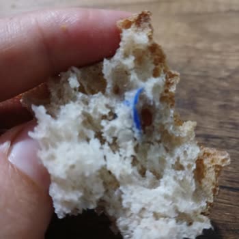 File Market Ekşi Mayalı Ekmekten Naylon Parçası Çıkması Şaşkınlık Yarattı