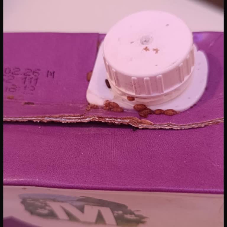 Migros’tan Aldığım Sütte Kurtçuk Ve Larva Şoku: Hijyen Skandalı