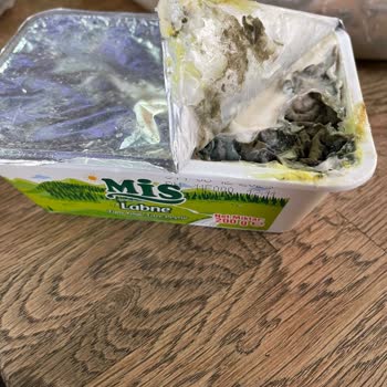 Son Kullanma Tarihi Geçmemiş Labne Küflü Ve Kötü Kokulu Çıktı!