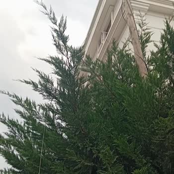 Bir Aydır Süren Kablo Arızası Nedeniyle İnternet Hizmeti Alamıyoruz