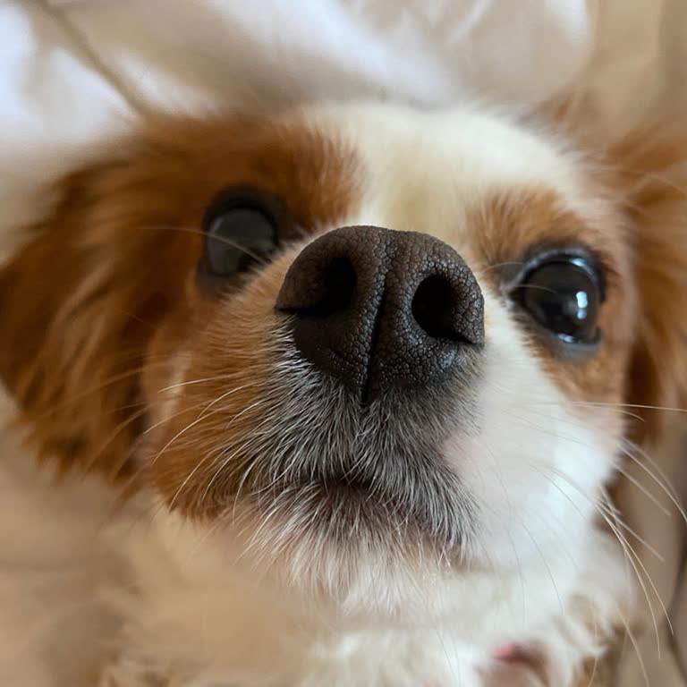 Antalya'da Martı Tag Komisyon Oranlarının Sürücüler İçin Adil Olmaması