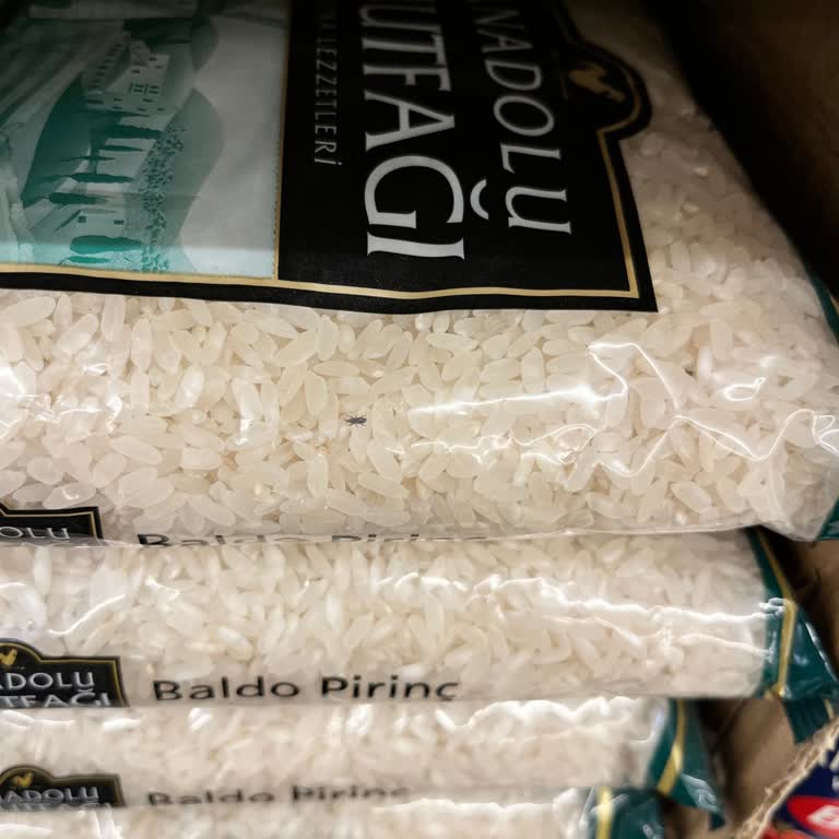 Şok Market'ten Alınan Bakliyatların Böcekli Çıkması Ve İlgisiz Çalışanlar