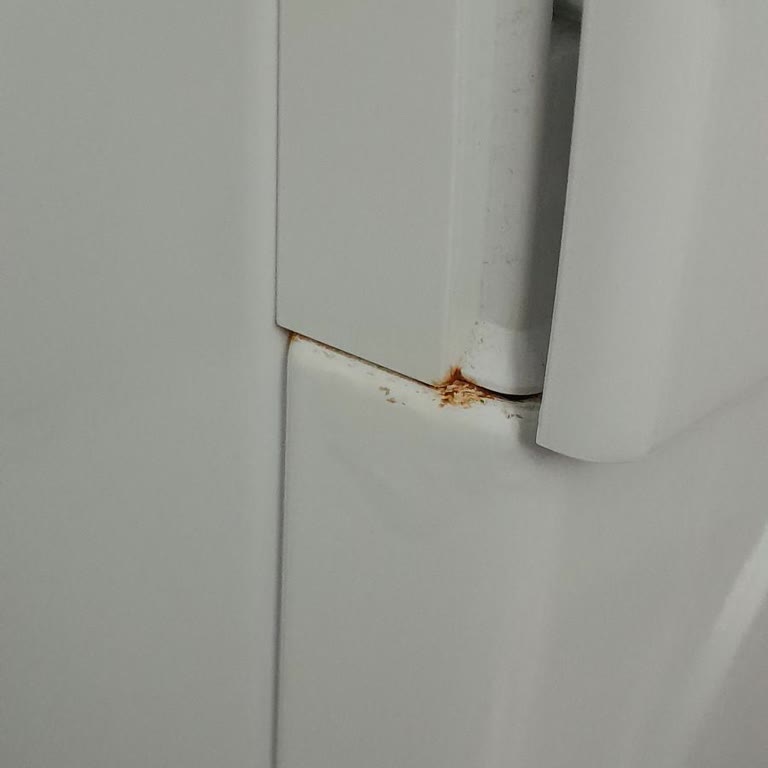 Bosch Çamaşır Makinesinde Garanti Sonrası Kronik Paslanma Sorunu Ve Ücretsiz Onarım Talebi