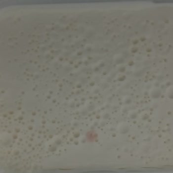 Son Kullanma Tarihi Geçmemiş Kaymakta Küf Oluştu