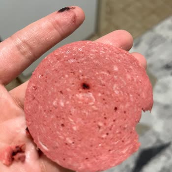 Beşler Salamda Çıkan Siyah Cisim Ailemi Endişelendirdi