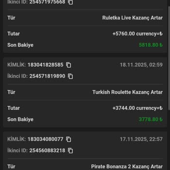 Sadakat Puanı Kısıtlaması Nedeniyle Bakiyemin Silinmesi Ve Mağduriyet