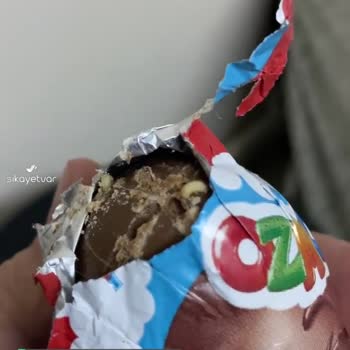 Ozmo Sürpriz Yumurtada Kurt