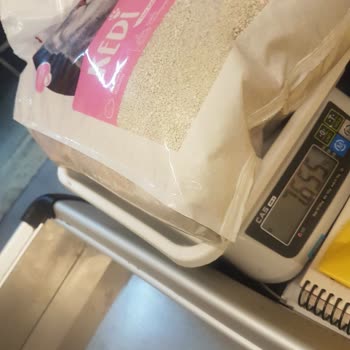 Free Cat Kedi Kumu Her Gün Gramaj Eksiltiyor