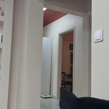 Zeist Beauty Kaş Düşüklüğü Problemi Oluştu