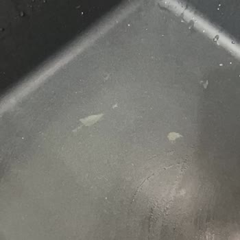 Yeni Alınan Franke Evyede Kısa Sürede Renk Solması Ve Lekeler Oluştu