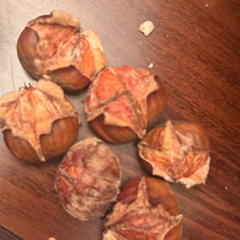 Pahalı Kestane Hayal Kırıklığı: Kurtlu Ve Kalitesiz Ürün