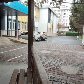 Tarım Ve Orman Bakanlığı Fidan Dikim Etkinliğinde Bilgilendirme Eksikliği Ve Mağduriyet Yaşadık