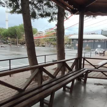 Tarım Ve Orman Bakanlığı Fidan Dikim Etkinliğinde Bilgilendirme Eksikliği Ve Mağduriyet Yaşadık