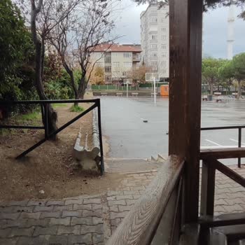 Tarım Ve Orman Bakanlığı Fidan Dikim Etkinliğinde Bilgilendirme Eksikliği Ve Mağduriyet Yaşadık