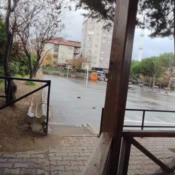 Tarım Ve Orman Bakanlığı Fidan Dikim Etkinliğinde Bilgilendirme Eksikliği Ve Mağduriyet Yaşadık