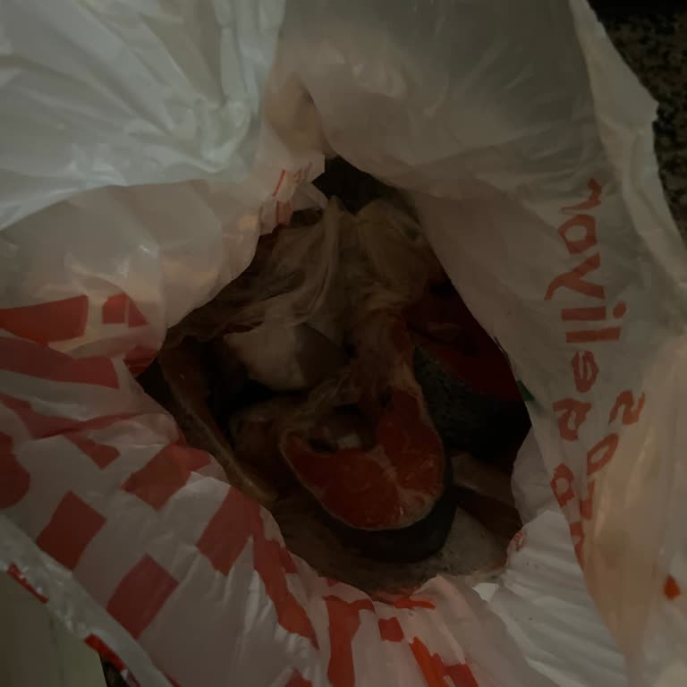 Bozuk Somon Balığı Teslimatı Sonrası İade Ve Çözüm Sağlanmadı