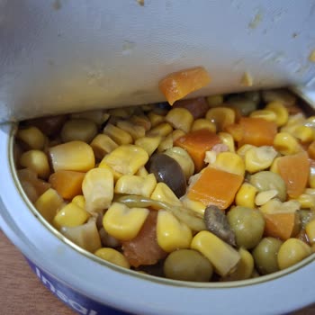 Dardanel Ton Balığı Paketinden Kıl Çıkması Ve Hijyen Sorunu