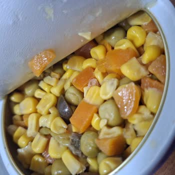 Dardanel Ton Balığı Paketinden Kıl Çıkması Ve Hijyen Sorunu