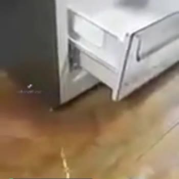 Beko Buzdolabı Yüksek Motor Sesi Ve Buzluğu Eritiyor!