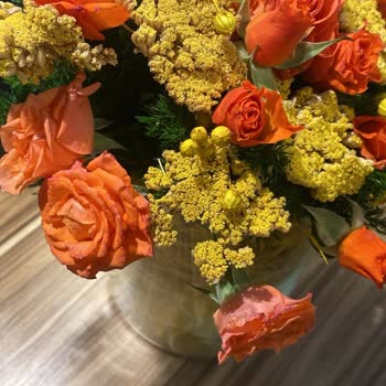 Taze Çiçek | Tazecicek.com Siparişimde Vaat Edilen Ürün Yerine Solmuş