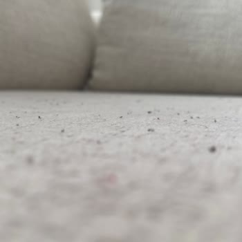 Konfor Mobilya Koltukta Tiftiklenme Sorunu Garanti Kapsamında Çözülmüyor