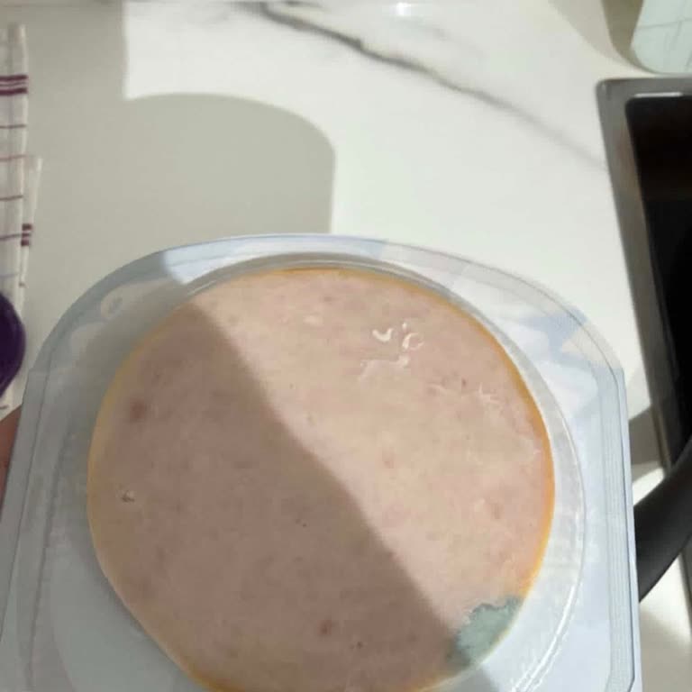 Son Kullanma Tarihi Geçmemiş Hindi Füme Ürününde Küf Sorunu Ve Güven Kaybı