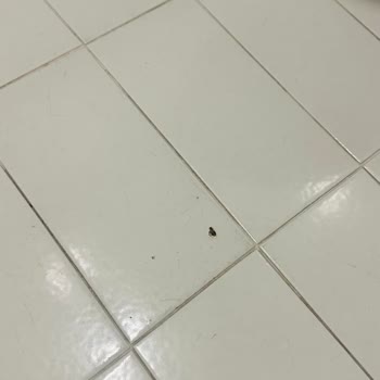 Hijyen Sorunları Nedeniyle Erken Çıkış Yapılan Otelden Ücret İadesi Talebi