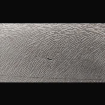 Garantisi Devam Eden Koltuğa Ücretli Kılıf Değişimi Şoku