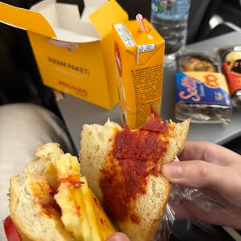 Gece Uçuşunda Ağır Sandviç Seçenekleri Rahatsızlık Verdi