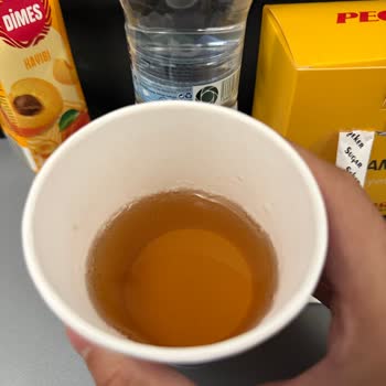 Gece Uçuşunda Ağır Sandviç Seçenekleri Rahatsızlık Verdi