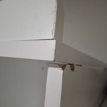 Geç Teslimat, Kırık Ürün Ve İlgisiz Müşteri Hizmeti Nedeniyle Mağduriyet