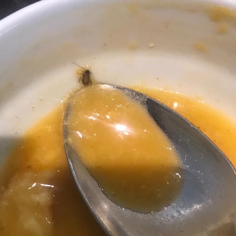 Develi 1912 Restaurant Hijyen Skandalı: Çorbadan Hamam Böceği Çıktı!