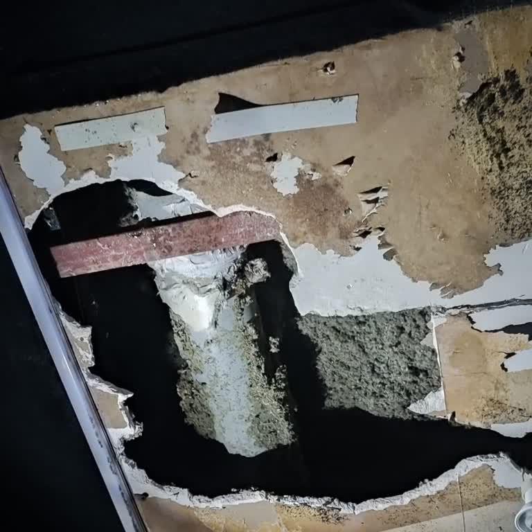 Bakım Eksikliği, Kötü Ses Sistemi Ve İlgisiz Personel Nedeniyle Sinema Deneyimim Hayal Kırıklığına Dönüştü