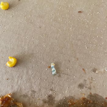 Domino’s Siparişimde Eksik Ürün Ve Yabancı Madde Sorunu