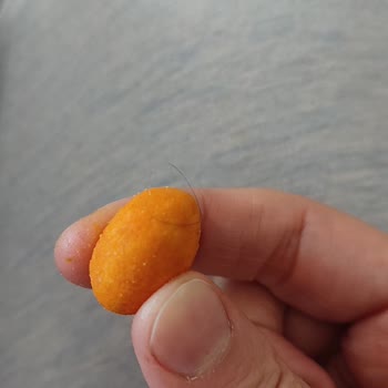 A101'den Aldığım Cips Paketinden Kıl Çıktı: Hijyen Ve Sağlık Endişesi