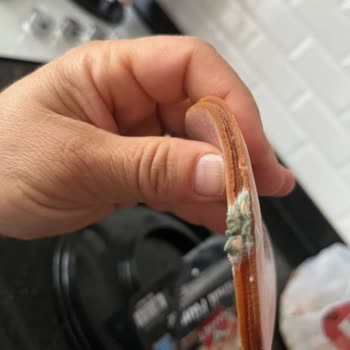 Son Tüketim Tarihi Geçmemiş Hindi Füme Küflü Çıktı, Sağlığım Tehlikeye Girdi