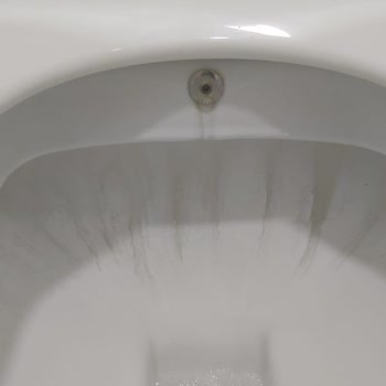 Klozetlerde Temizlenmeyen Siyah Lekeler Ve Garanti Sorunu
