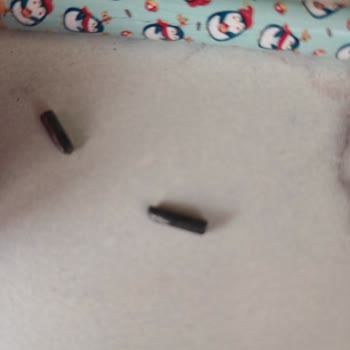 Fatih Kalem Ciddi Sorun Yaşatıyor