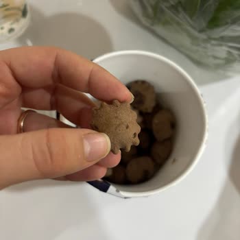 Biscolata Sembolleri Yok Müşteri Hizmetleri Dönüş Yapmıyor