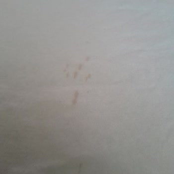 Beyaz Çamaşırlarda Pas Lekesi Sorunu Çözülmüyor, Makine Değişimi Talep Ediyorum