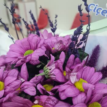 Sipariş Ettiğim Çiçek Aranjmanı Hayal Kırıklığı Yarattı