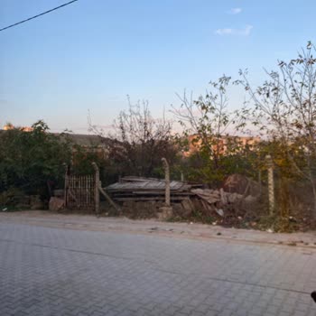 İos Güncellemesi Sonrası İphone 11'de Kamera Sorunu Ve Çözüm Eksikliği