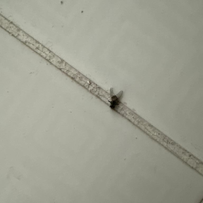 Otel Odasında Hijyen Ve Yemeklerde Büyük Hayal Kırıklığı Yaşadık