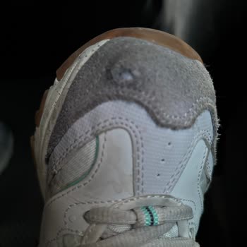 Skechers D'lites Ayakkabı Kısa Sürede Yırtıldı, Mağaza Sorumluluk Almadı