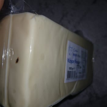 Vakumlu Kaşar Peynirinde Sinek Çıkması Ve Yorumumun Yayınlanmaması