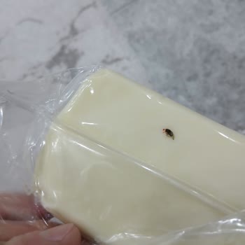 Vakumlu Kaşar Peynirinde Sinek Çıkması Ve Yorumumun Yayınlanmaması