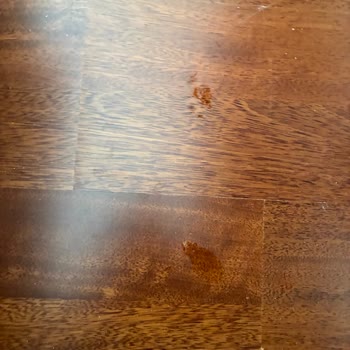 Yüksek Ücretli Roborock Süpürgede Sürekli Arıza Ve Yetersiz Destek!