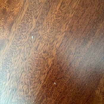 Yüksek Ücretli Roborock Süpürgede Sürekli Arıza Ve Yetersiz Destek!