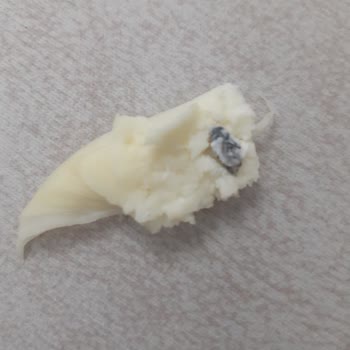 Gültekin Gurme Lezzetler Aldığım Örgü Peynirden Sinek Çıktı